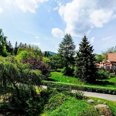 Mountain Forest Comfort 3