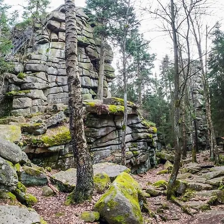 Mountain Forest Comfort 3 Hébergement de vacances Schierke