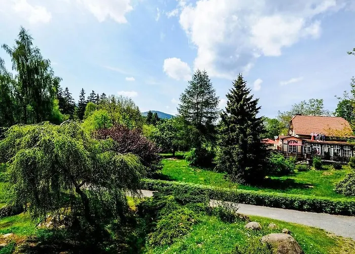 Mountain Forest Comfort 3