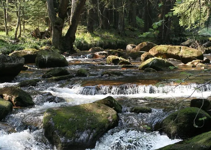 Ferienhaus Mountain Forest Comfort 3 Schierke