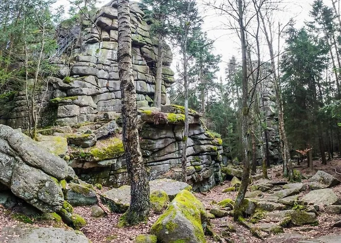 Mountain Forest Comfort 3 Ferienhaus Schierke